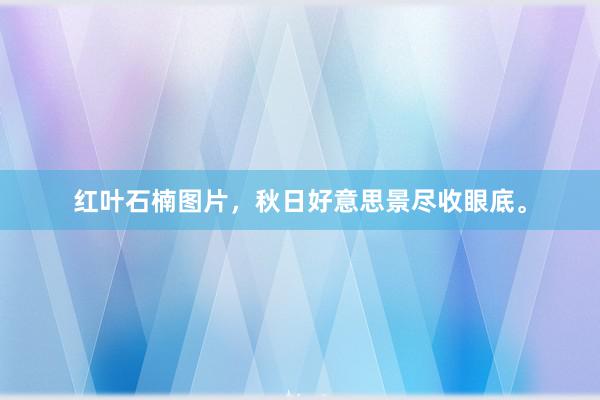 红叶石楠图片，秋日好意思景尽收眼底。